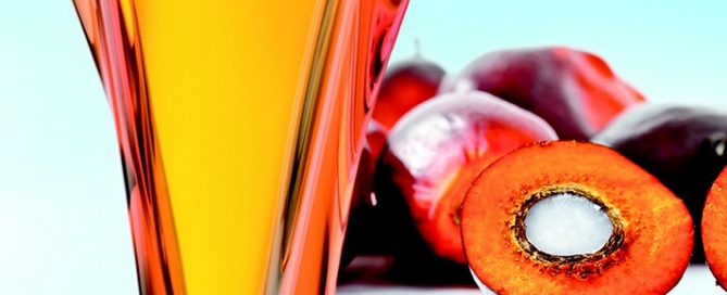 Olio di palma caratteristiche nutrizionali utilizzo conseguenze per la salute evidenze scientifiche