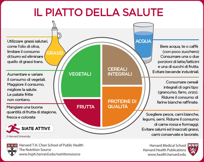 Nutrizione sana, benessere e attività fisica: il piatto della salute