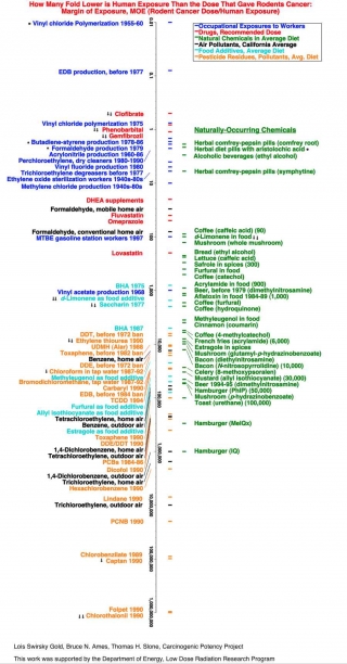Una rappresentazione grafica di quanto la dose di sostanze naturali potenzialmente cancerogene presenti nei cibi sia prossima ai valori di soglia rispetto a quella di sostanze artificali.