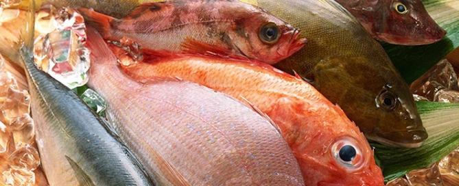 Pesce, mercurio, diossini: i reali rischi e i benefici del consumo di pesce