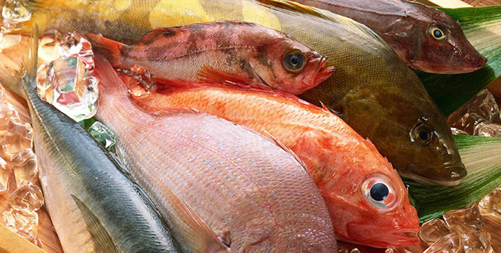 Pesce, mercurio, diossini: i reali rischi e i benefici del consumo di pesce