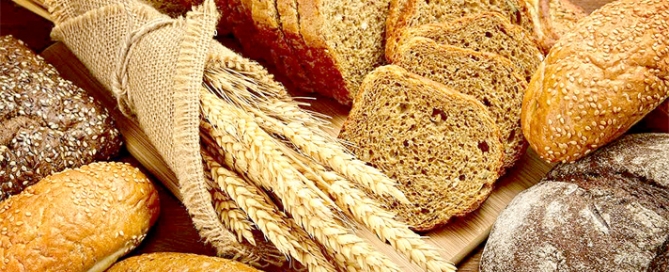 Che cosa è il glutine. Informazioni sul glutine e sui cereali in cui è presente.