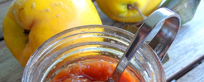 Mela Cotogna proprietà nutrizionali