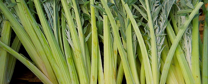 Cardi prprieta nutritive ricette cucina gobbi
