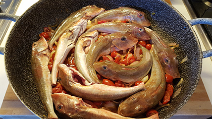 Gallinella di mare, proprietà nutritive, cottura e ricette