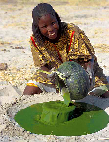 Spirulina, integrazione, benefici per la salute