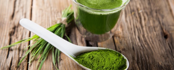 Alga spirulina, proprietà nutritive, uso, integrazione b12, benefici per la salute