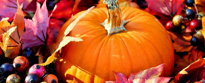 Zucca invernale, proprietà nutritive, benefici per la salute, usi in cucina e ricette
