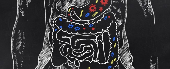 Il microbiota umano, la salute e le patologie, i probiotici il sistema immunitario