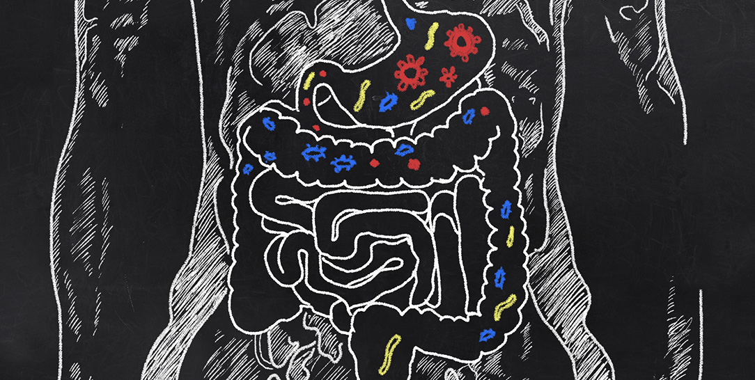 Il microbiota umano, la salute e le patologie, i probiotici il sistema immunitario