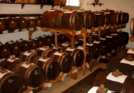 Acewto e aceto balsamico, produzione, usi e proprietà nutritive