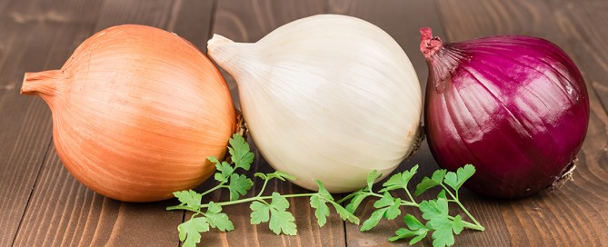 Le proprietà nutritive della cipolla, i valori nutrizionali, i benefici per la salute, le controindicazioni, gli usi in cucina