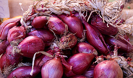 I benefici per la salute della cipolla, la prevenzione e l'uso in cucina