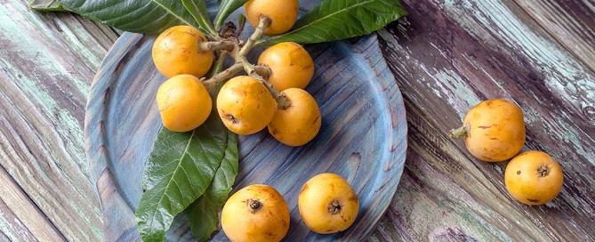 Nespole del giappone, proprietà nutritive e benefici per la salute