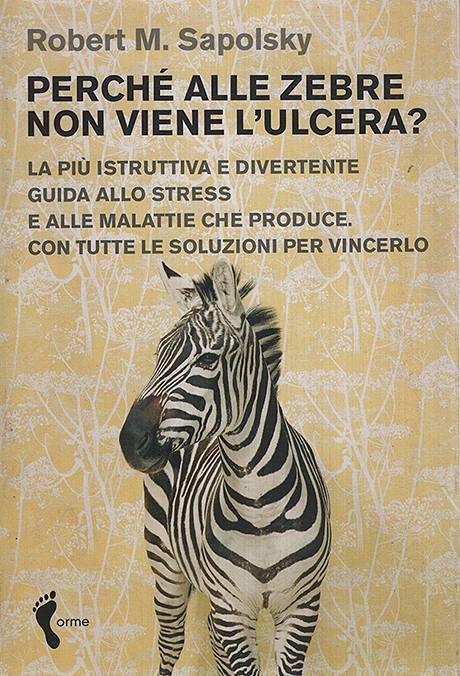 Stress, fattori di rischio, problemi salute, strategie di gestione