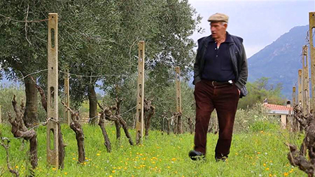 Restrizione calorica, dieta mima digiuno, longevità e benefici per la salute