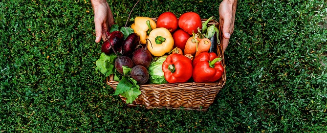 Pestici e cancro, il test di Ames , il ruolo dei micronutrienti