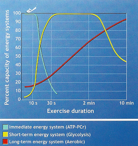 Sistemi energetici cellule muscolare e alimentazione per lo sport: fosfocreatina, glicogeno, lipidi