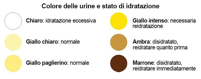 Indice di idratazione delle bevande, stato di idratazione e colore delle urine