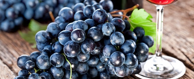 Resveratrolo, proprietà, benefici per la salute e l'invecchiamento, controindicazioni