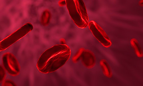 La dieta del gruppo sanguigno: funziona realmente? Ha qualche fondamento scientifico?