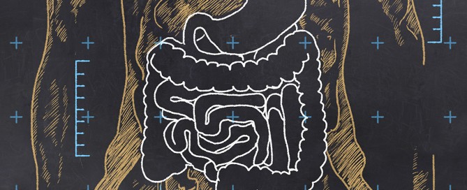 Transito intestinale, i tempi e i fattori che regolano il passaggiodel cibo nello stomaco e nell'intestino