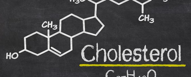 A cosa serve il colesterolo: il ruolo del colesterolo nelle membrane cellulare, nella sintesi dei sali biliari, degli ormoni steroidei e della vitamina D