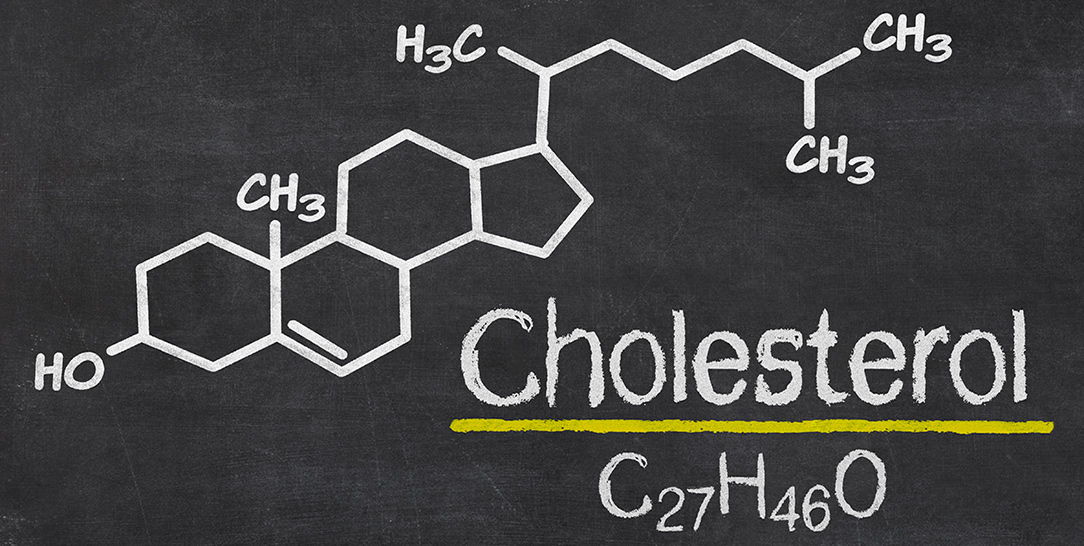 A cosa serve il colesterolo: il ruolo del colesterolo nelle membrane cellulare, nella sintesi dei sali biliari, degli ormoni steroidei e della vitamina D