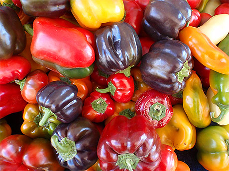 Varietà, valori nutrizionali e proprietà nutritive dei peperoni dolci