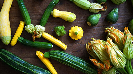 Proprietà nutritive, valori nutrizionali e utilizzo in cucina delle zucchine estive