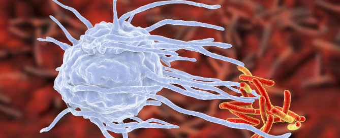 Dieta e sistema immunitario, i nutrienti per difese immunitarie efficienti