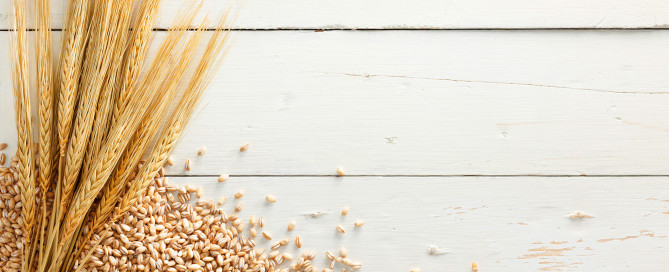 Orzo: proprietà nutritive, valori nutrizionali, benefici per la salute, fibre e beta glucani